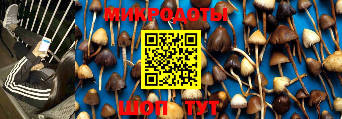 Галлюциногенные грибы Psilocybe  Вход с VPN  Мурманск 